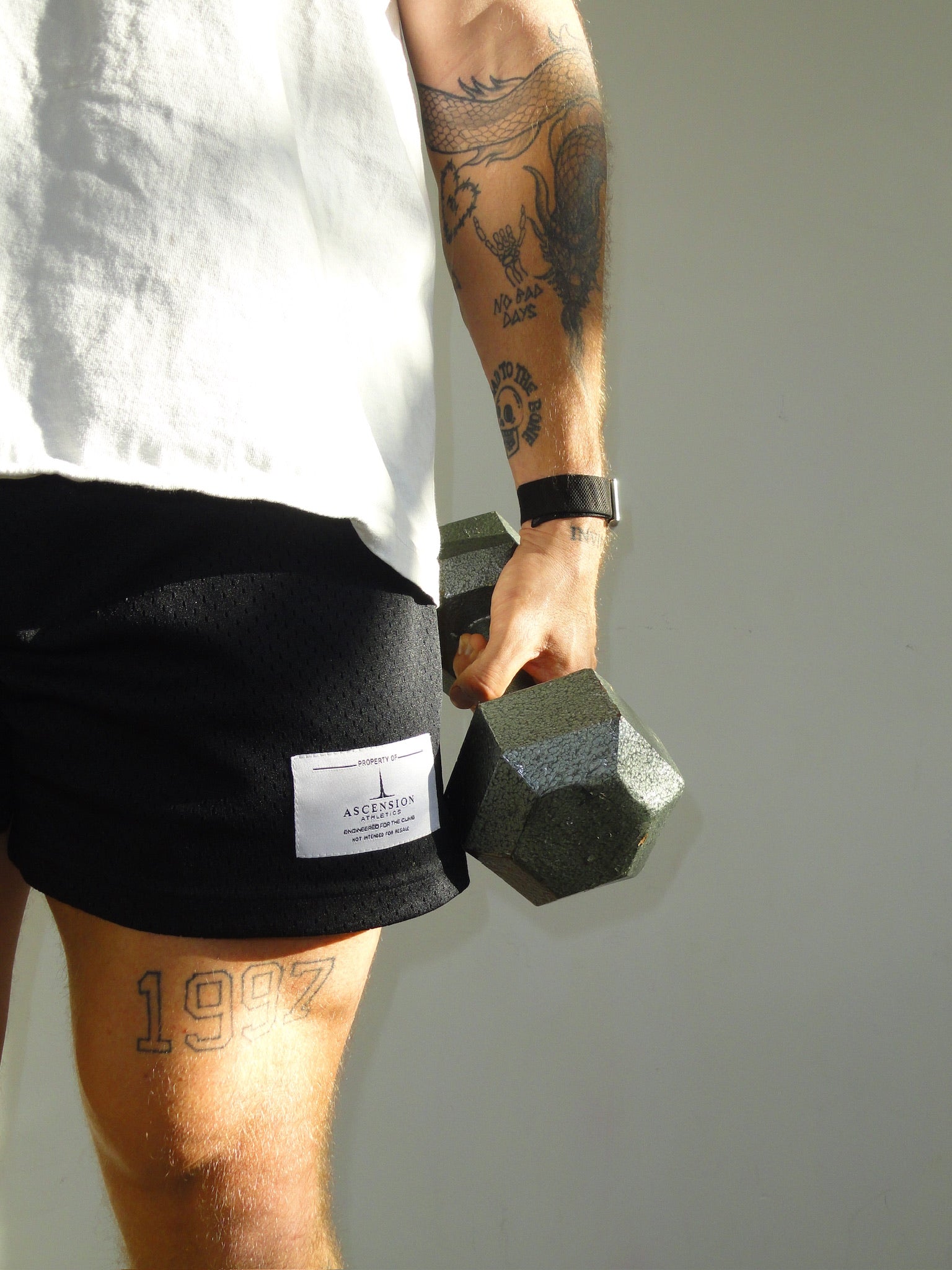 Ascension Heavyweight Mesh Shorts