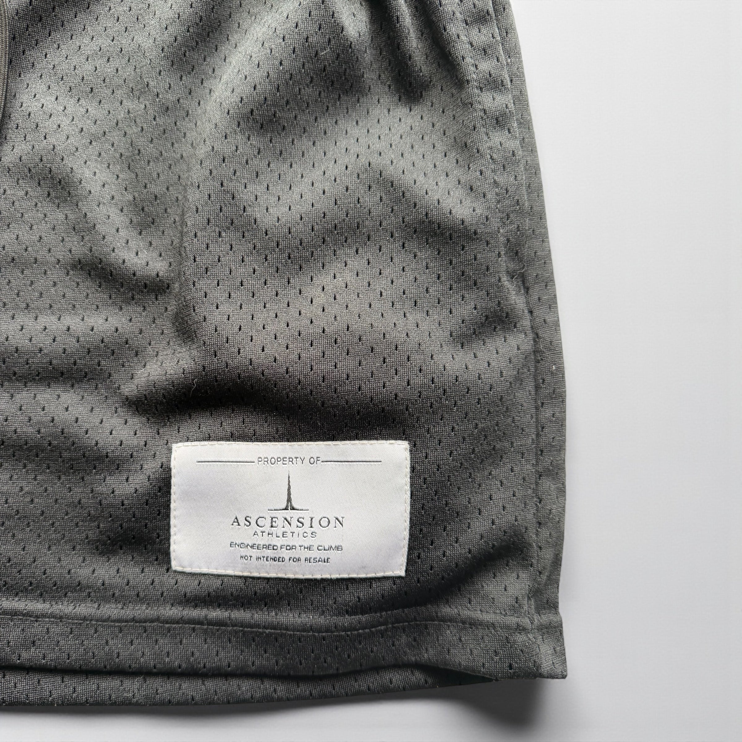 Ascension Heavyweight Mesh Shorts